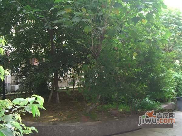 成科路小区实景图图片