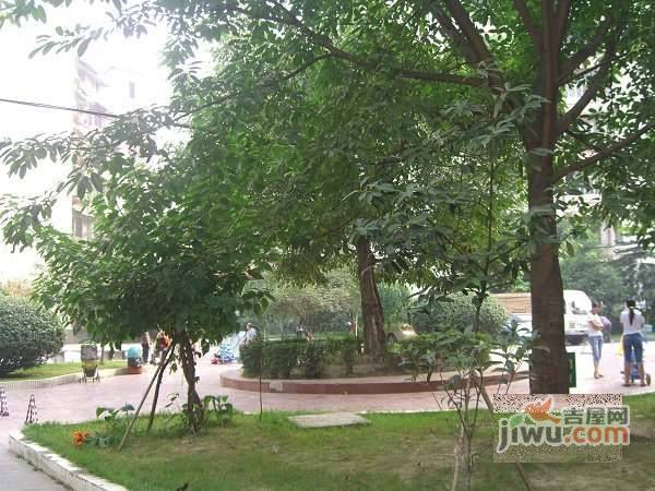 成科路小区实景图图片