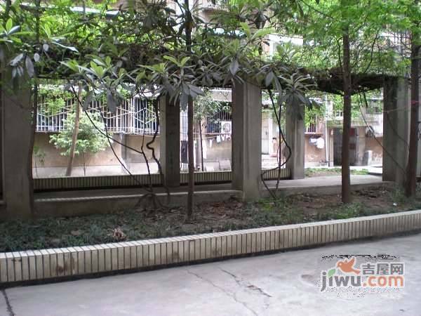 成科路小区实景图图片