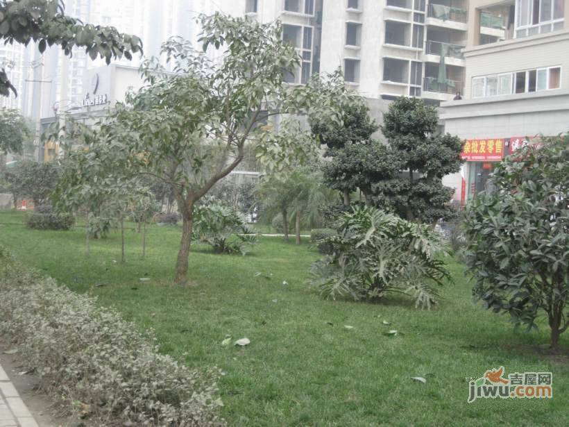 上霖东方实景图图片