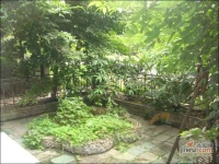 锦城庭院实景图图片