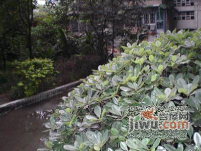 玉通巷小区实景图图片