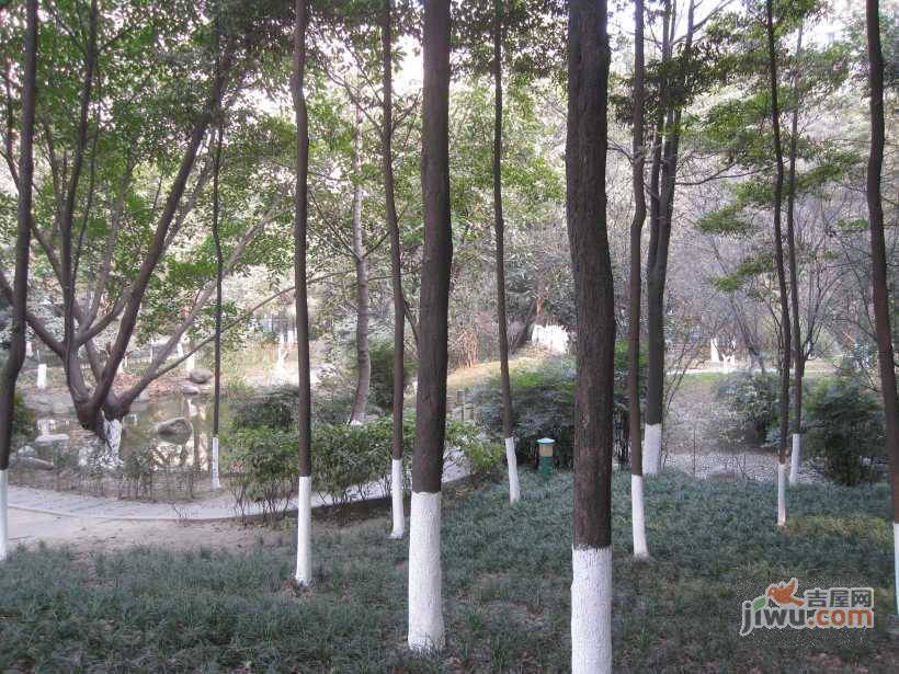 锦城花园实景图图片