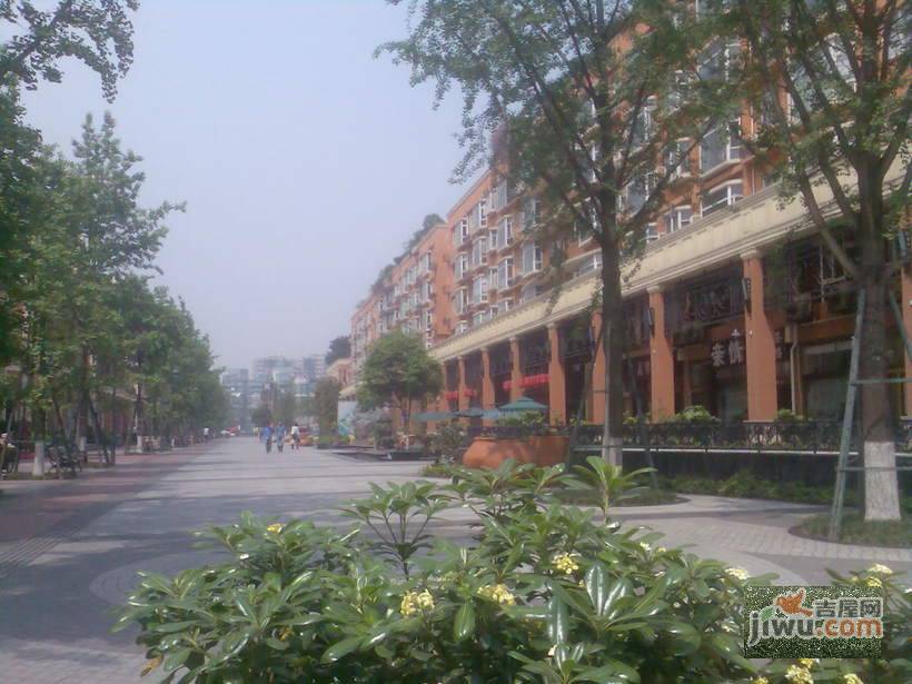 上海花园(高新)实景图图片