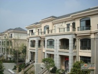 中海国际林汀别墅小区图片