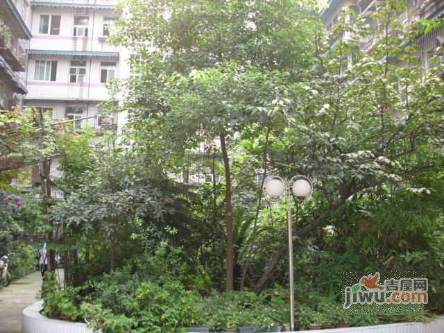 红旗巷小区实景图图片