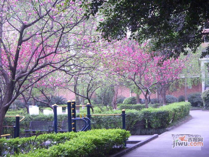 置信逸都花园天乐苑实景图5