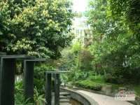 溢阳绿城实景图图片