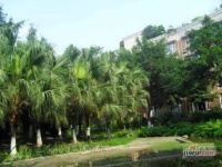 华阳滨河花园实景图图片