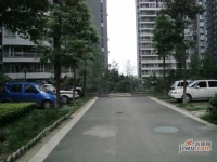 锦江城市花园一期实景图图片