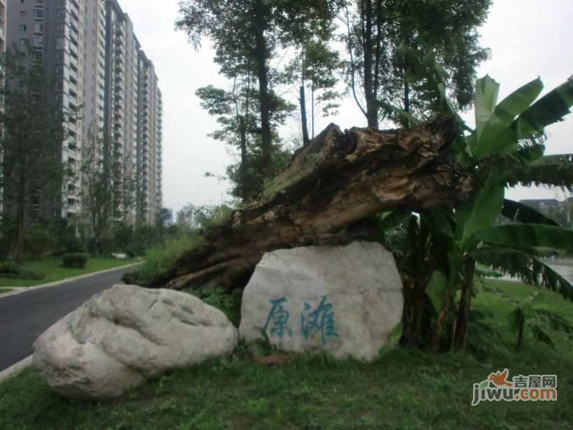 春天大道实景图图片