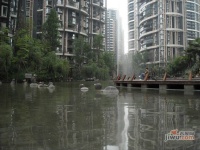 浅水半岛B区实景图图片