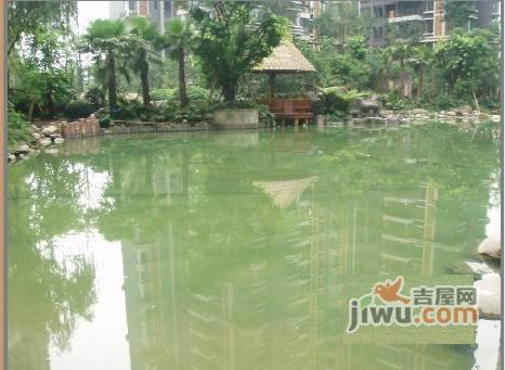 浅水半岛B区实景图图片