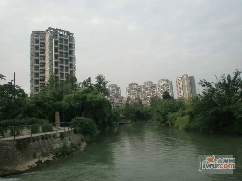 春天大道实景图图片