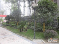 锦江城市花园三期实景图图片