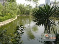 锦江城市花园三期实景图图片