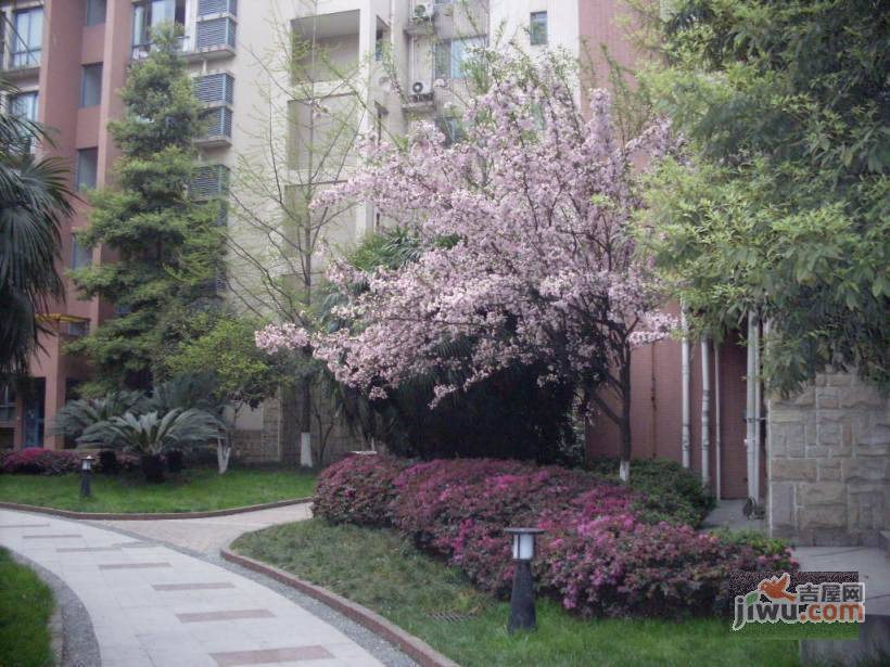 博瑞都市花园实景图图片