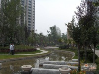 上城成都花园实景图2