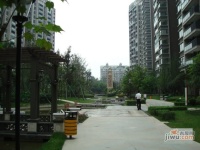 上城成都花园实景图图片