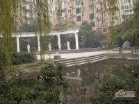 锦汇花园实景图图片