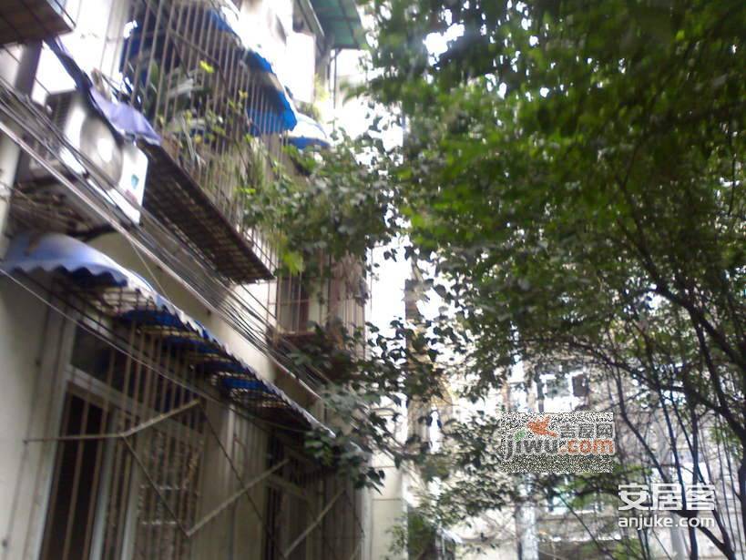 西安中路小区实景图图片