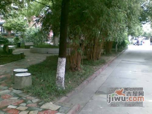 锦卉苑实景图图片