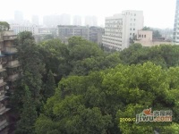 浣花北路小区实景图图片