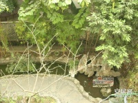 西藏花园实景图图片