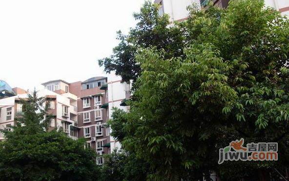 一椽坊实景图图片