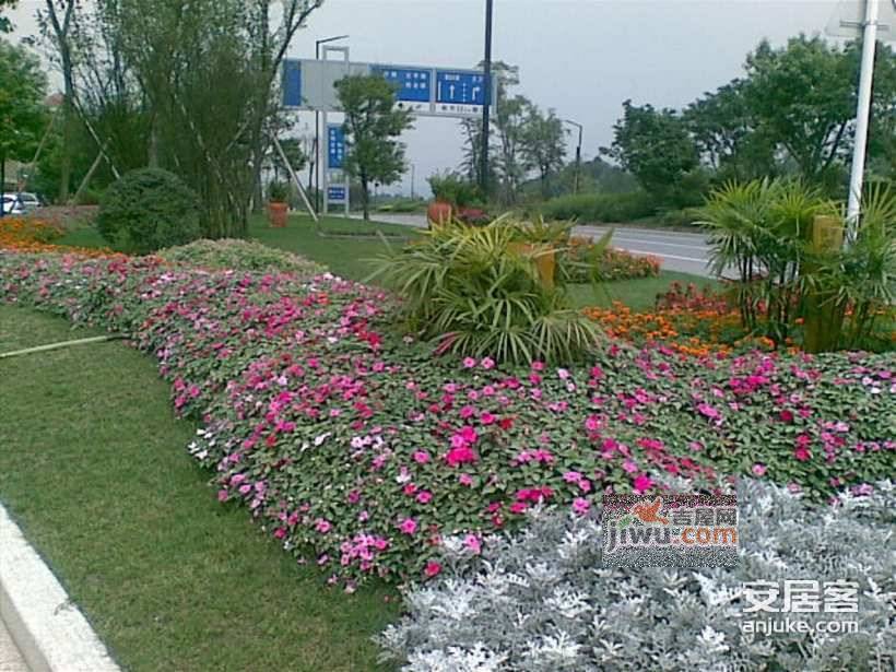 雅居乐花园独栋实景图图片