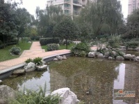 雅居乐花园独栋实景图图片