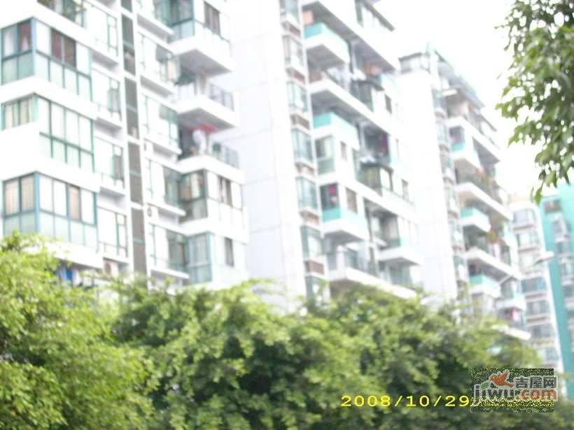 楠逸苑实景图图片
