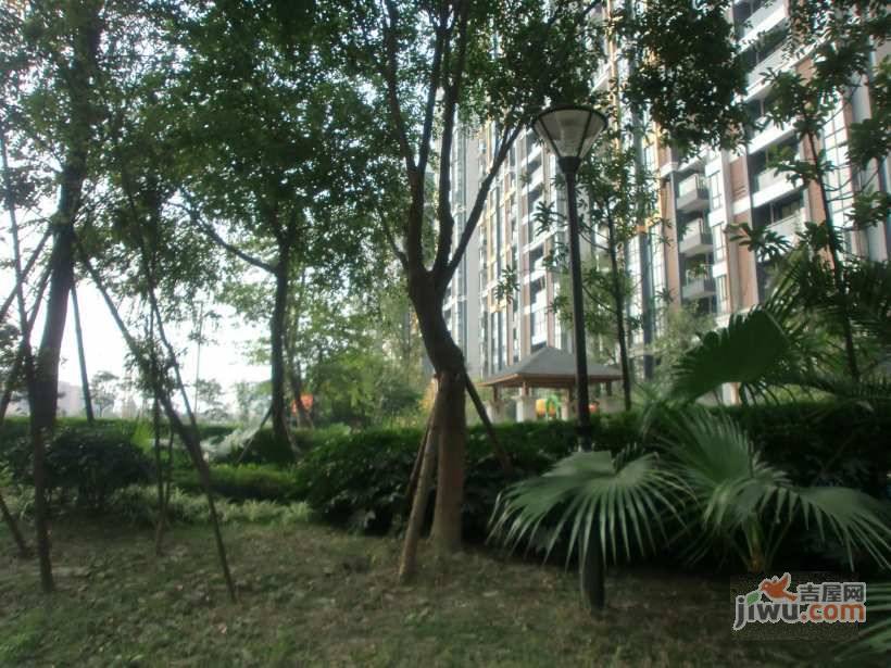 珠江国际花园实景图图片