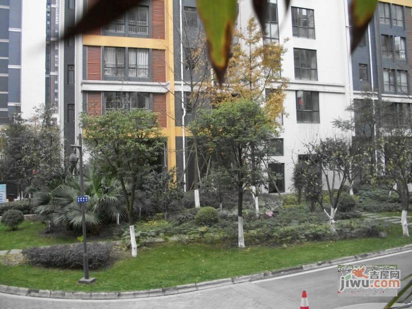 珠江国际花园实景图图片