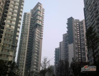 悦城实景图图片