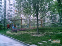 金沙顺苑效果图