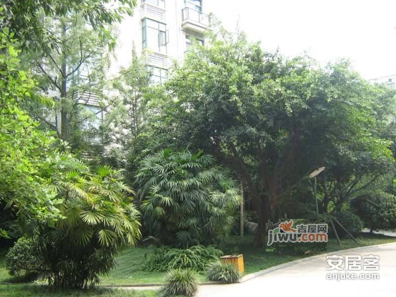 禾嘉花园实景图图片