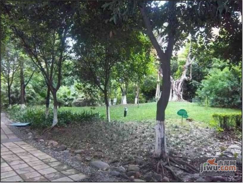 风华苑实景图图片