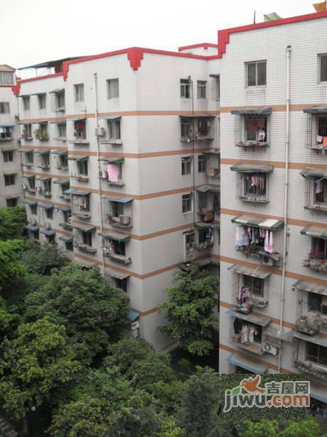 棕东小区实景图图片