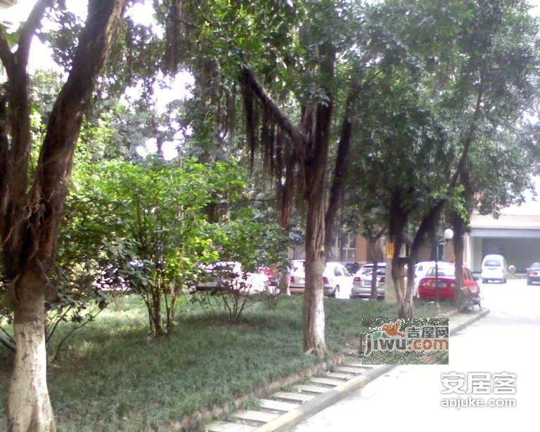 棕东小区实景图图片