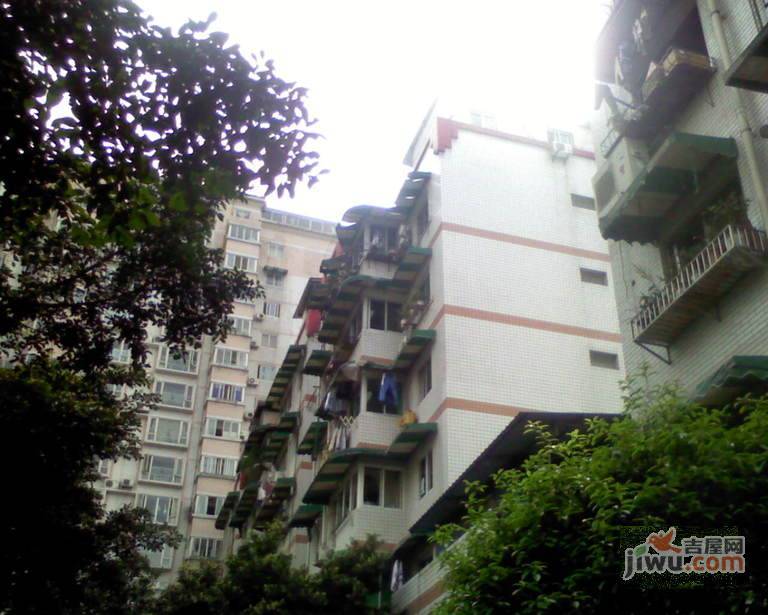 棕东小区实景图图片