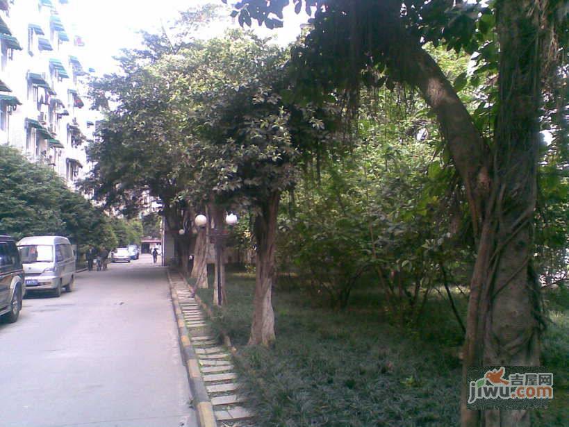 棕东小区实景图图片