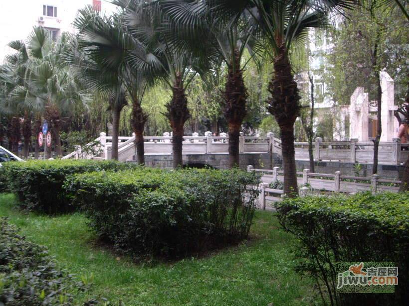 棕东小区实景图图片