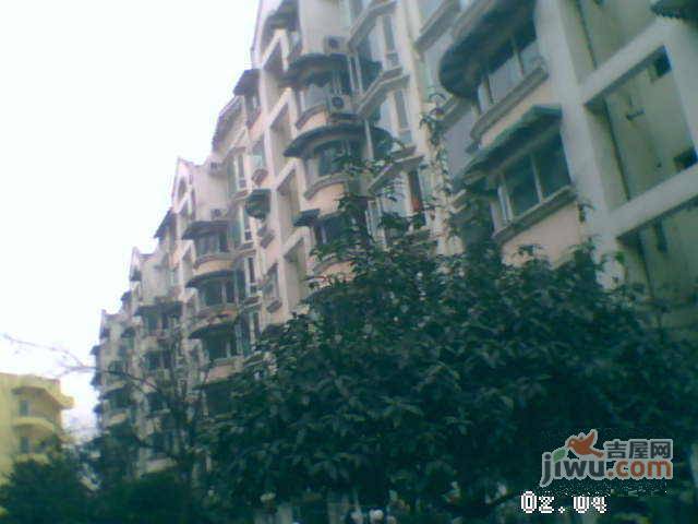 棕东小区实景图图片