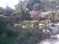东湖花园二期实景图图片