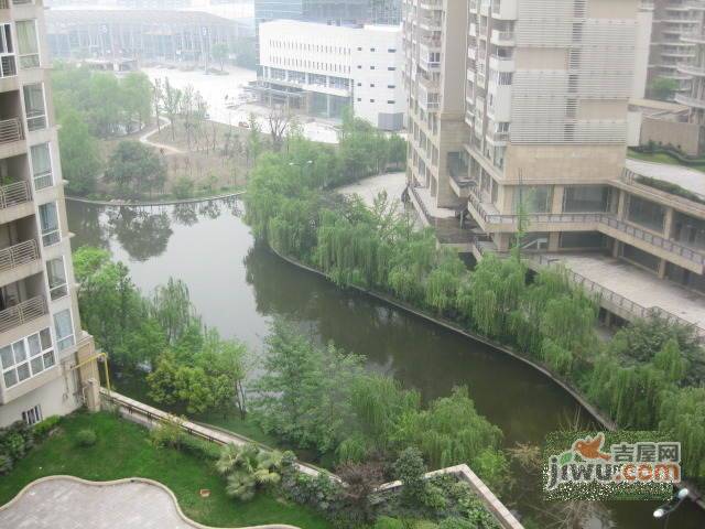 天鹅湖花园实景图图片