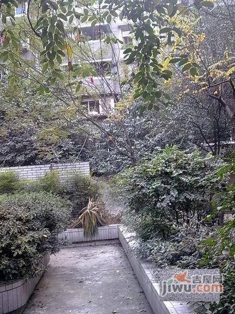 龙爪社区实景图图片