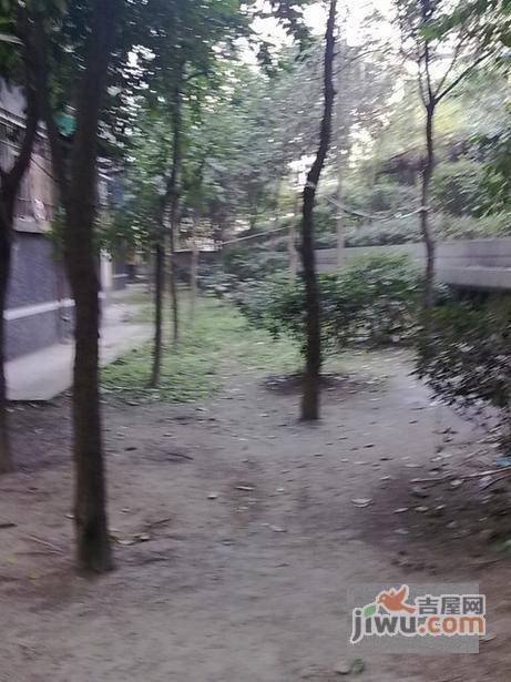 龙爪社区实景图图片
