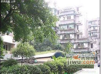 龙爪社区实景图图片