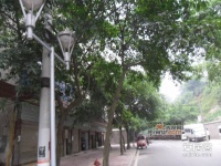 窑坝街小区实景图图片